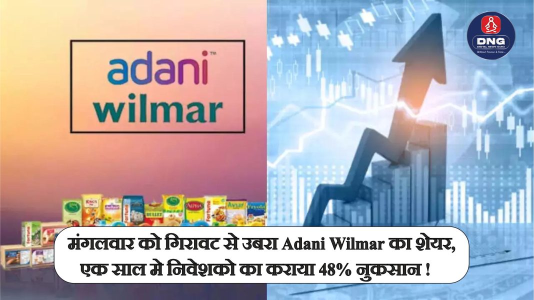 Adani Wilmar